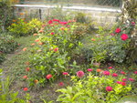 DSCN6416.JPG