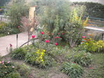 DSCN6417.JPG