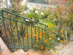 DSCN6418.JPG
