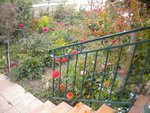 DSCN6419.JPG