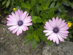 DSCN6405.JPG