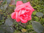 DSCN6407.JPG