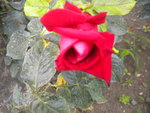 DSCN6415.JPG