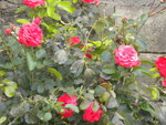 DSCN6423.JPG