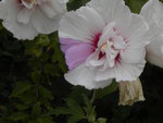 DSCN6425.JPG