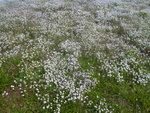 P1080002.JPG