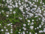 P1080003.JPG