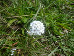 P1080004.JPG