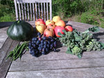 2015-09-17 panier du jour.jpg
