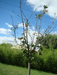 DSC07503re.jpg