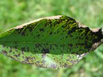 DSC07505re.jpg