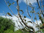 DSC07506re.jpg