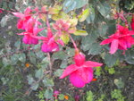 DSCN6429.JPG
