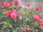 DSCN6432.JPG