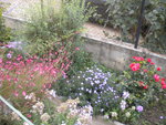 DSCN6433.JPG