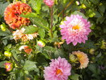 DSCN6434.JPG
