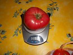 Tomate Marmande (2).JPG