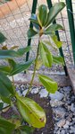 rps20150919_174625.jpg