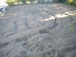 DSCN6451.JPG