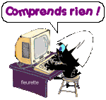 ordi.gif