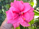 DSCN6454.JPG