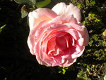 DSCN6455.JPG