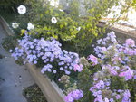DSCN6457.JPG