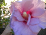 DSCN6459.JPG