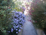 DSCN6460.JPG
