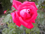 DSCN6464.JPG