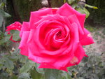 DSCN6465.JPG