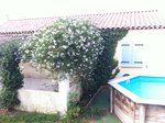 IMG_6975.JPG