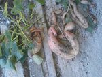 IMAG0119.jpg