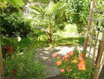 DSC03504.jpg