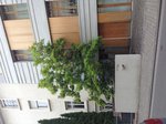 IMG_0870.JPG