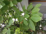 IMG_0871.JPG