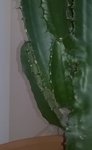 WP_20150930_003.jpg