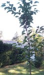 100_3271.JPG