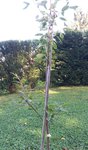 100_3272.JPG