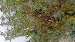 20151005_180942.jpg
