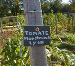 monstrueuse de Lyon, Lacroix-Laval 2015.jpg