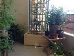 balcon.jpg