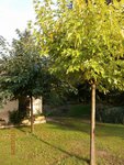 PA110004.JPG