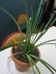 IMG_0468.JPG