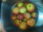 25102014930 (Copier).jpg
