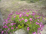 DSCN6089.JPG