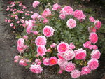 DSCN6158.JPG
