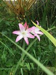 IMG_5650.JPG
