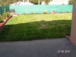 quatre semaine après semis