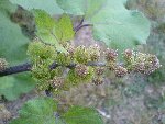 DSC00191.jpg